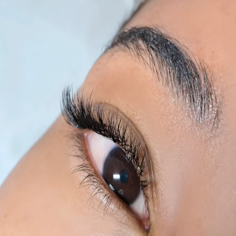 Hybrid Lashes